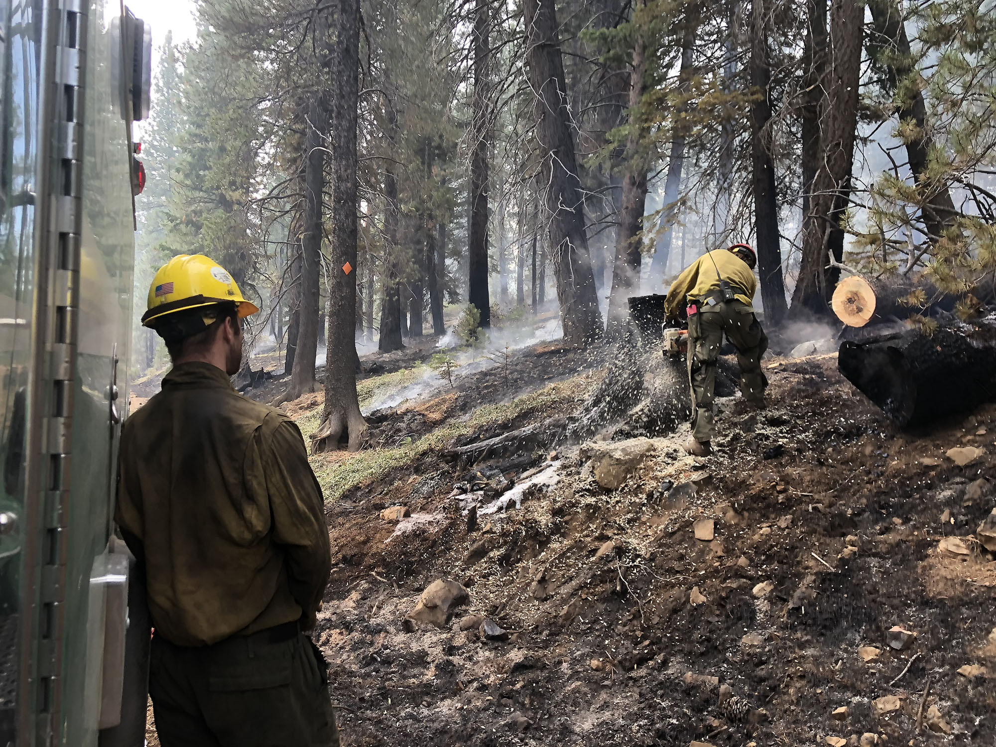 Can California Improve Forest Management And Prevent Wildfires Without ...