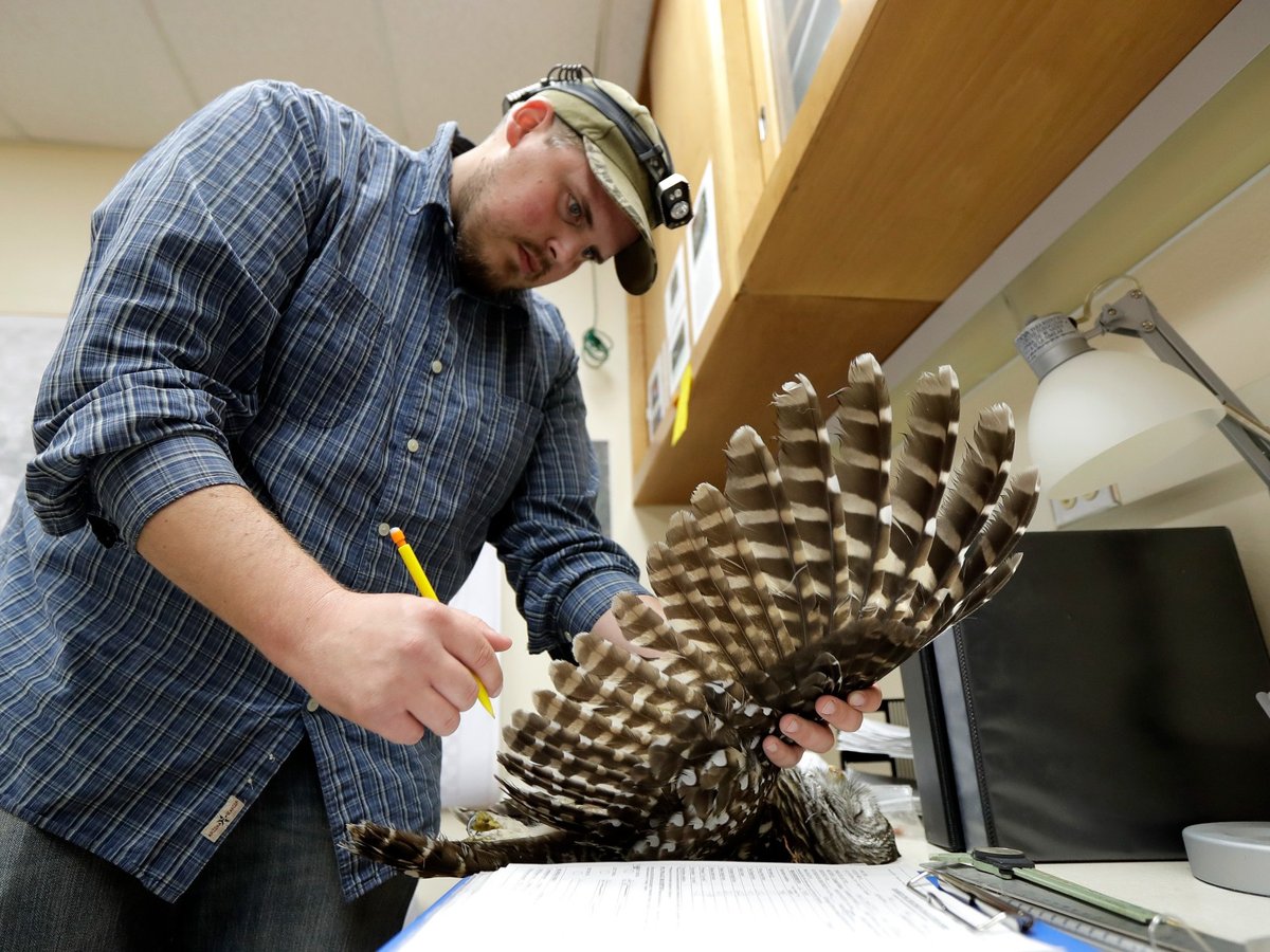 AP Photo/Ted S. Warren, File