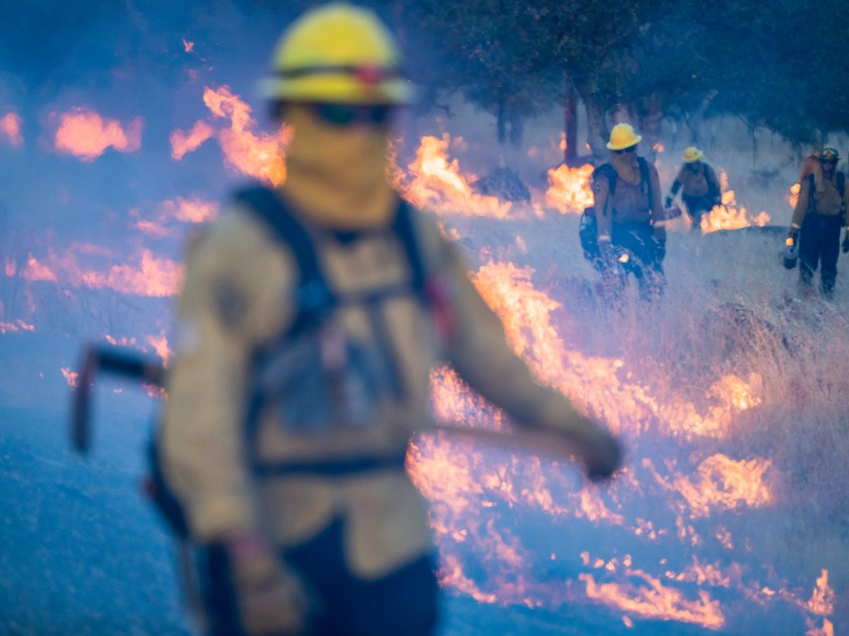 AP Photo/Nic Coury