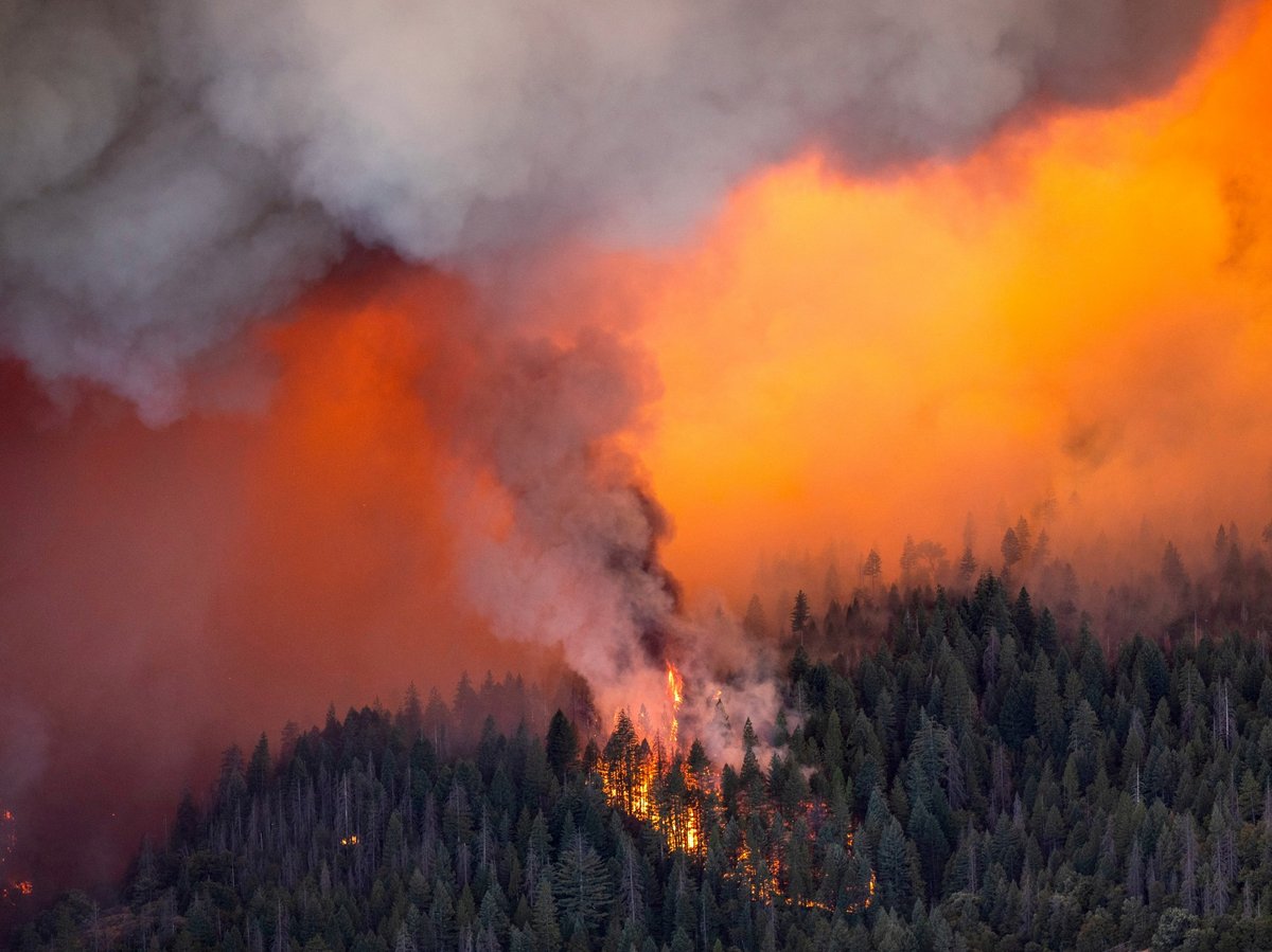 AP Photo/Noah Berger