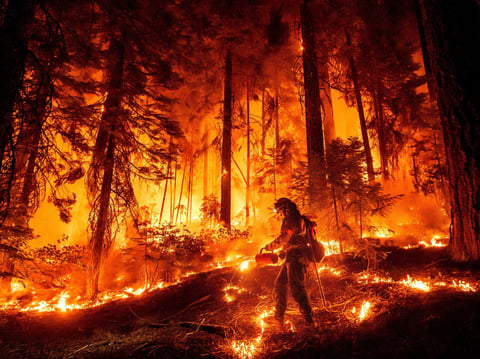 AP Photo/Noah Berger