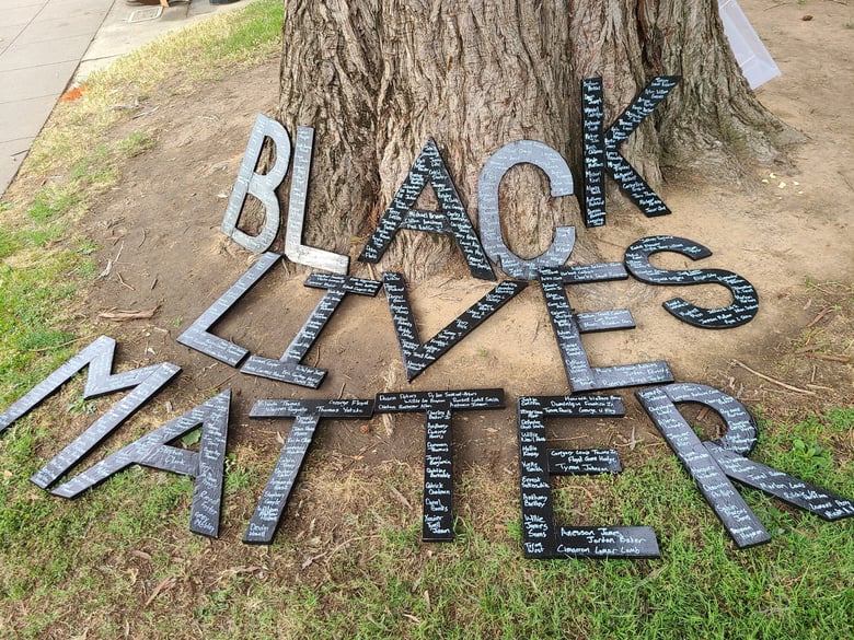 Taking Down Human Trafficking  Historically Black Oak Park is