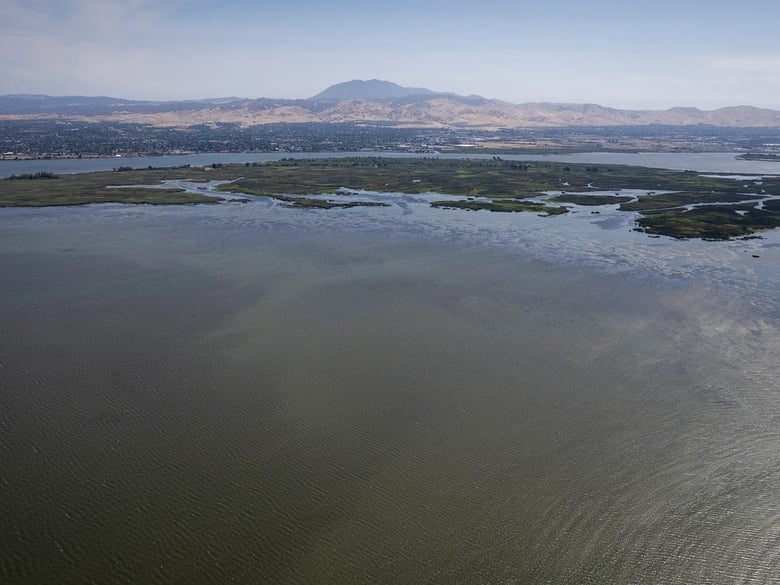 Ranchers, tribes, state clash over Shasta River water - CalMatters