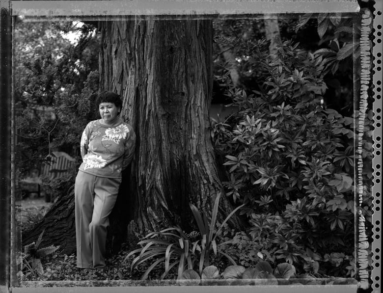 Forest Forced Sex Video - Photography Exhibit Honors Survivors Of Japanese Internment Camps -  capradio.org
