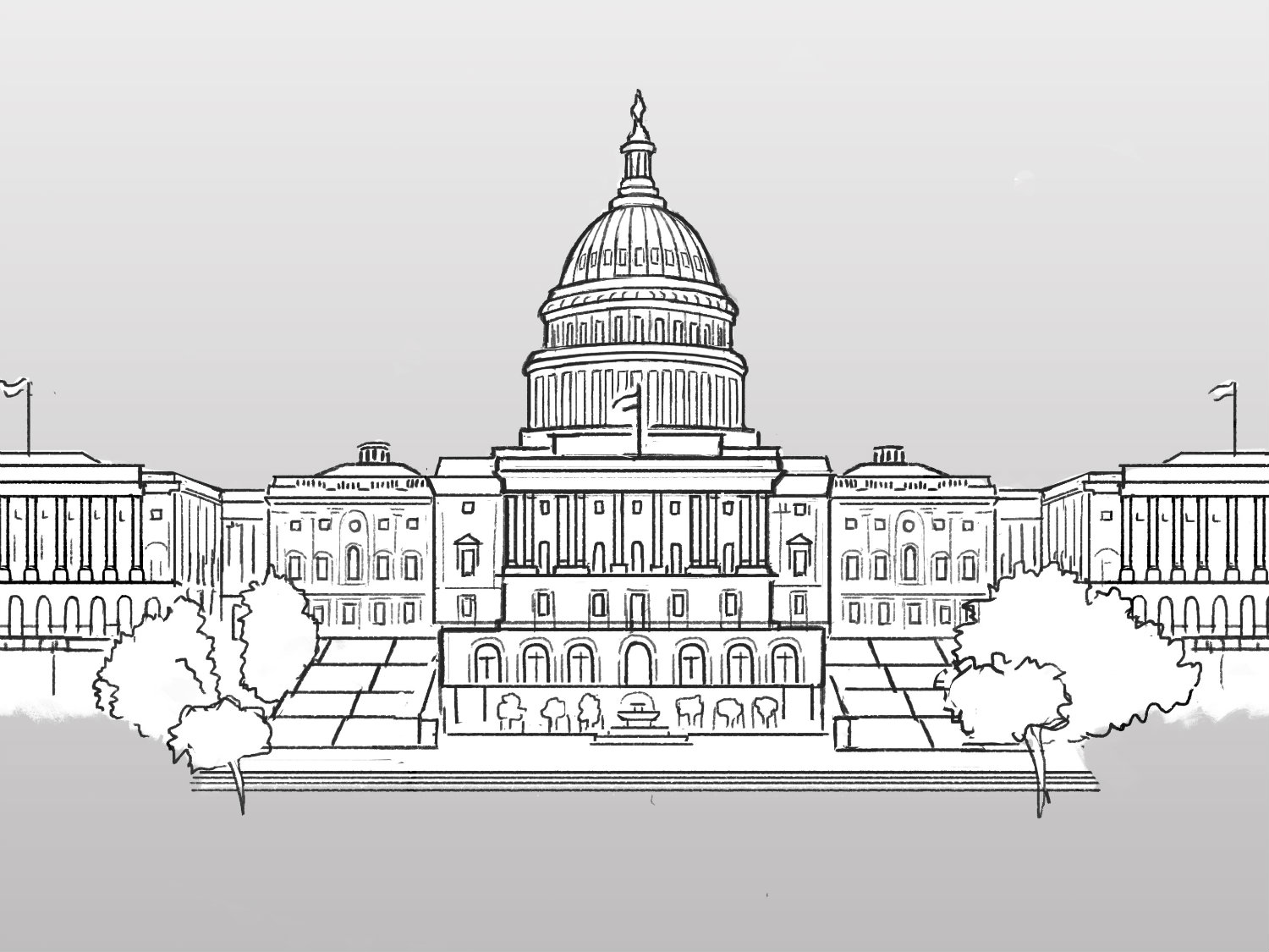 senate and house of representatives drawings