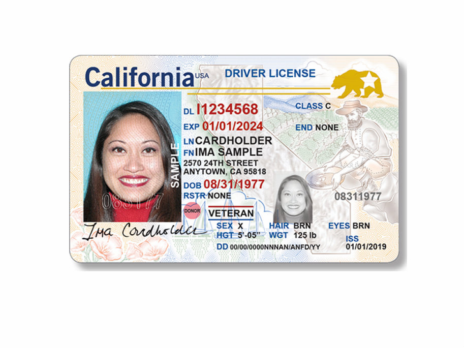 california license lookup physician