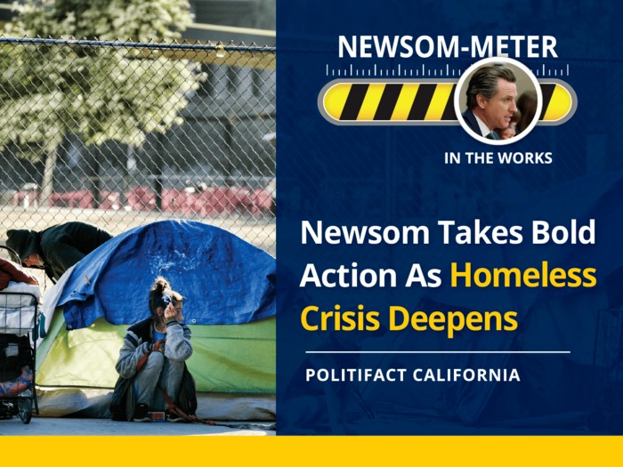 One Year In, Gov. Gavin Newsom Shows Bold Action, But California’s ...