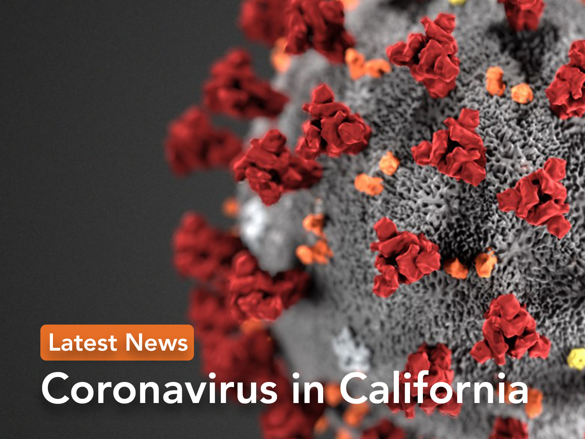 Reopening California: Officials hope rules curb coronavirus - Los