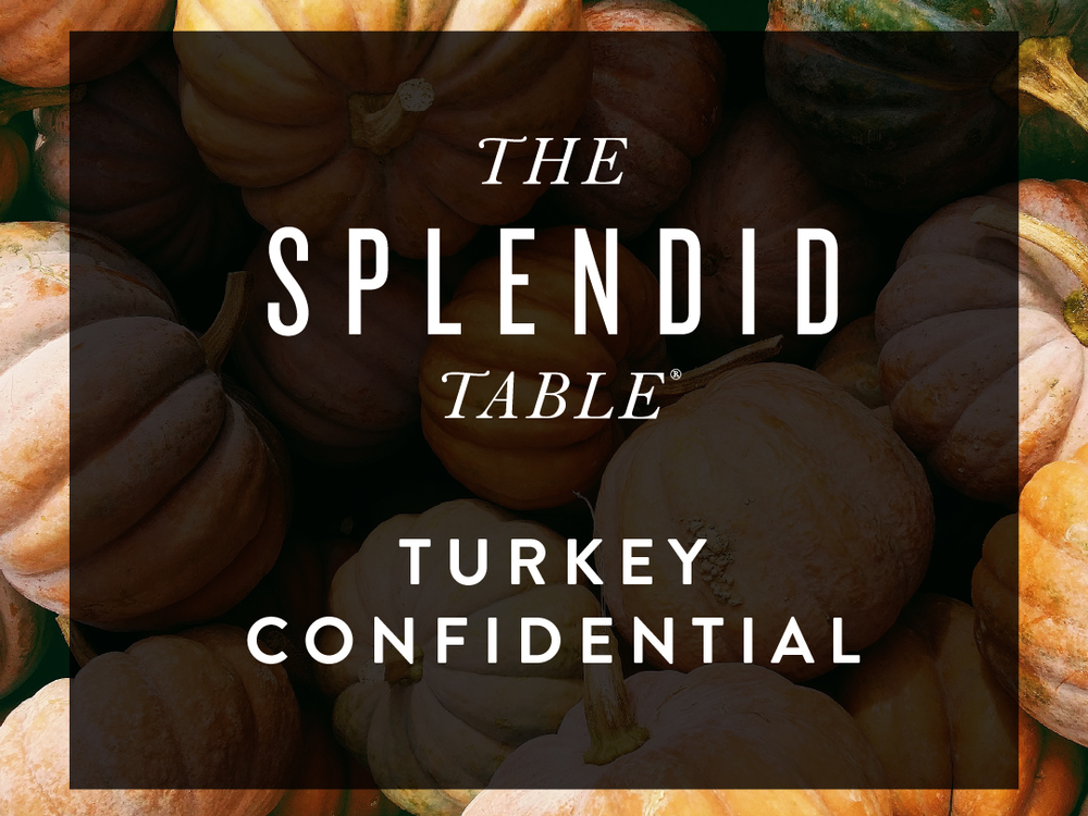 Turkey Confidential 2023 capradio