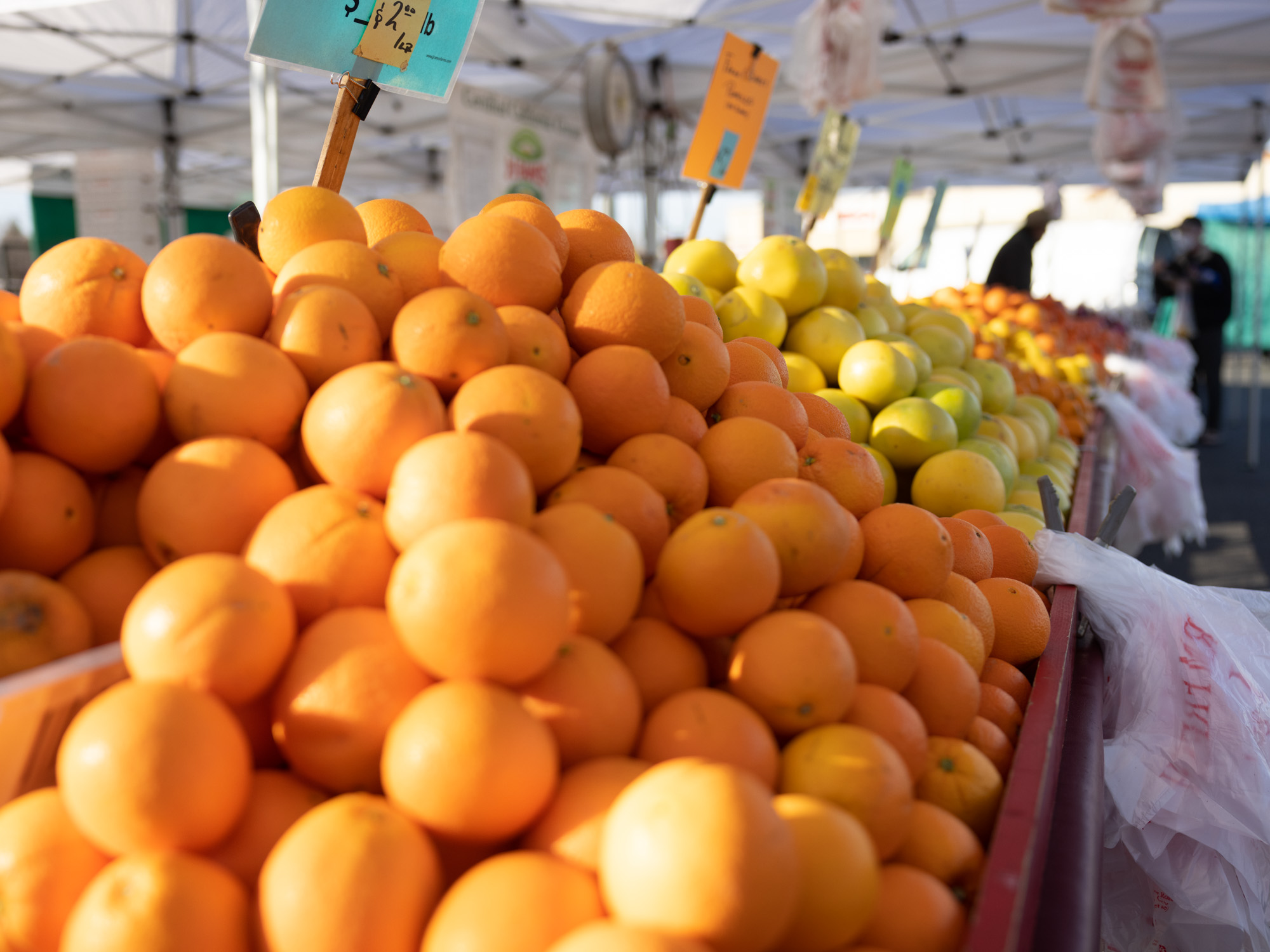 2000px x 1500px - California Fruit and Vegetable EBT Pilot Project | What This Snowpack Means  for CA Water Needs | Infused Aperitifs in Winters - capradio.org