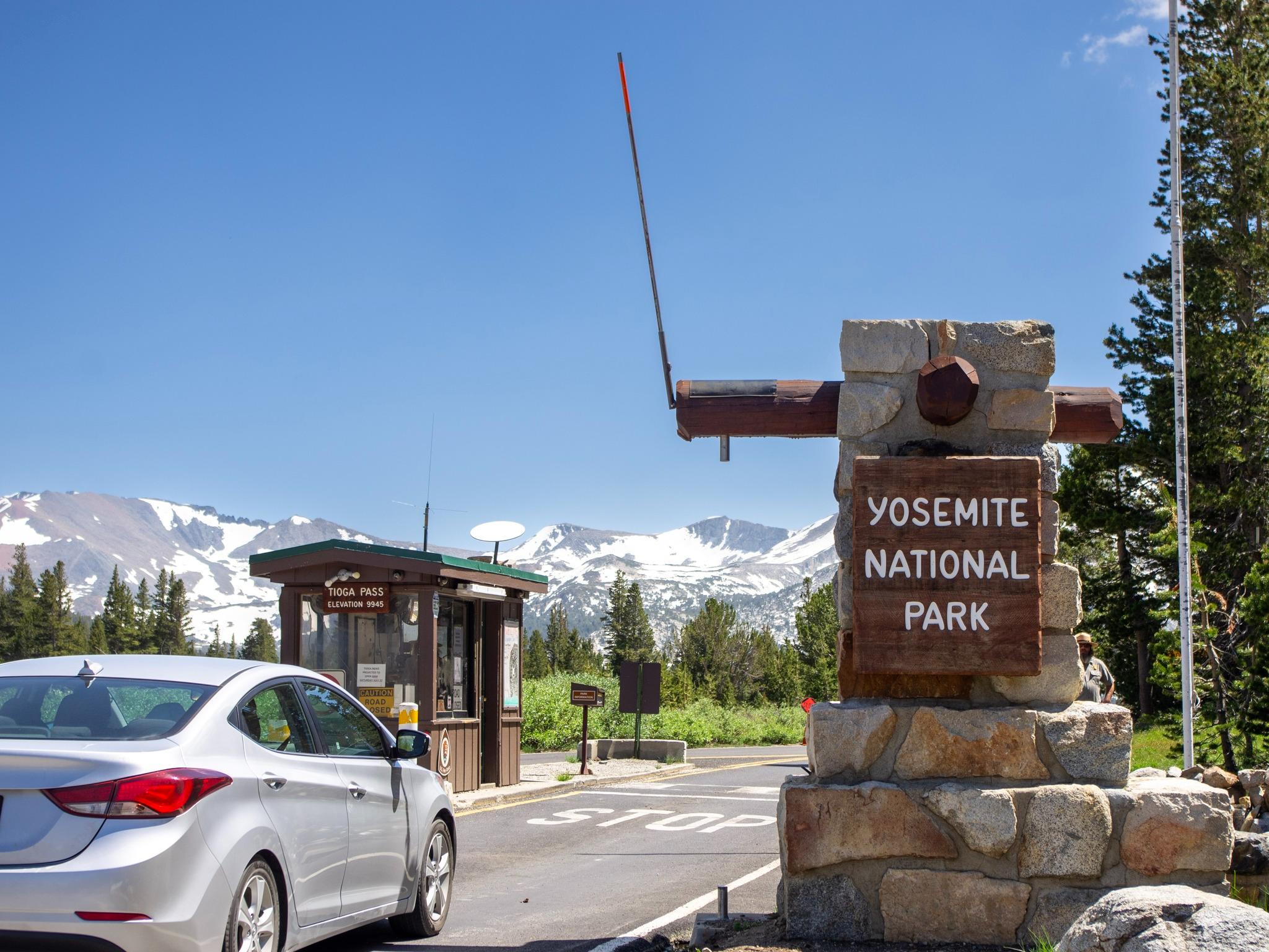 Yosemite Gateway Tioga Pass Reopens CA Firefighters Advice to Other Countries Fighting Wildfires Endangered Yellow-Legged Frogs Released into Plumas National Forest