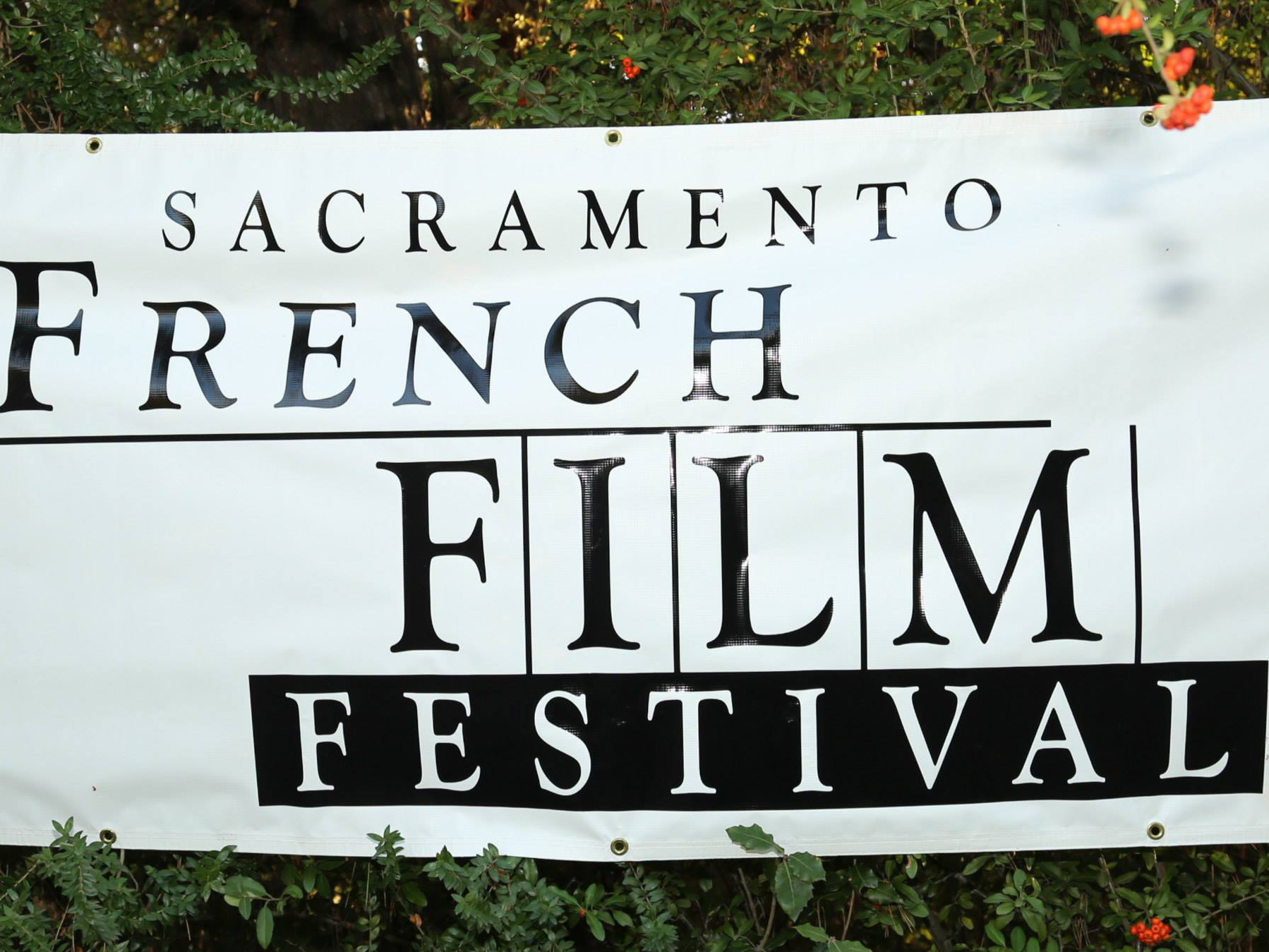 Sacramento French Film Festival Takes MiniFest To IMAX