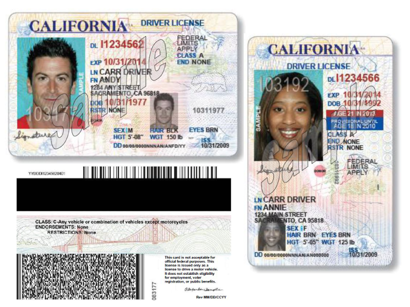 drivers license california back