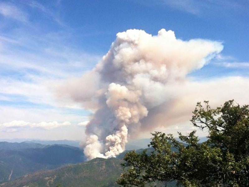 ShastaTrinity National Forest Wildfire Burns 1,000 Acres, Brings