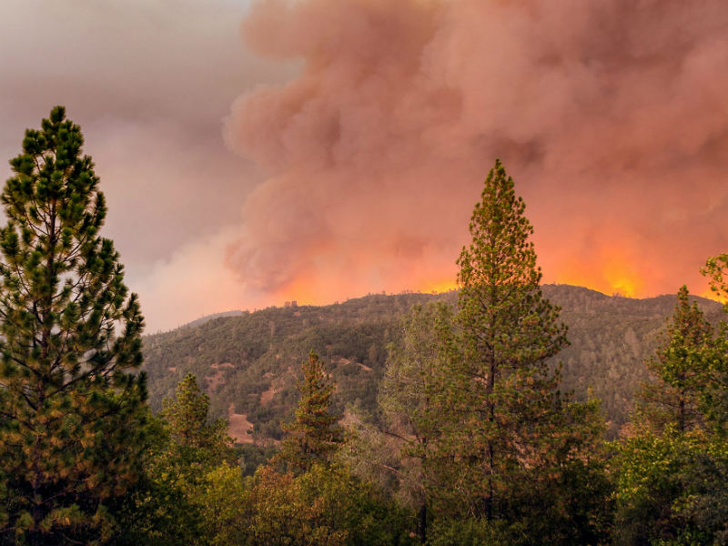Butte Fire Containment Grows To 63 Percent - capradio.org