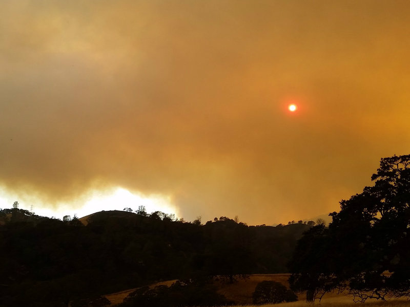 Cold Fire In Yolo County Grows To 4 700 Acres Capradio Org   ColdFire0804176P 