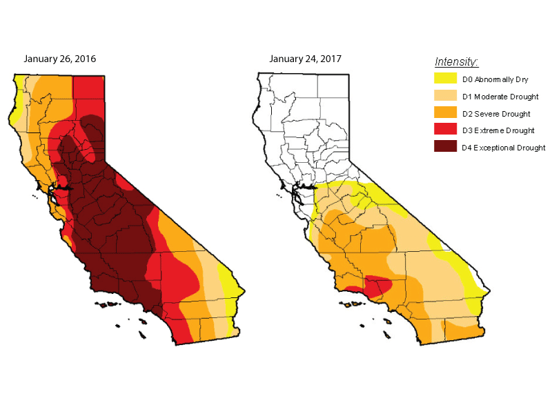 California Groundwater Levels Remain Critically Low